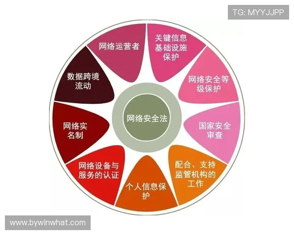 必赢网站app安全可靠的登录方式详解保障用户账号信息安全与隐私保护